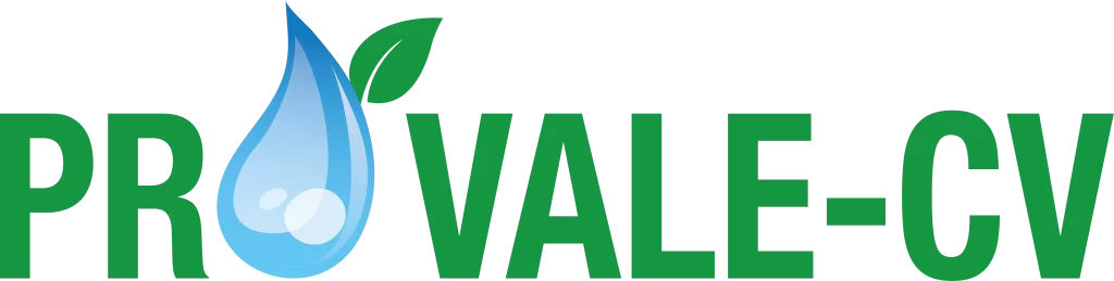 logo_provale-cv